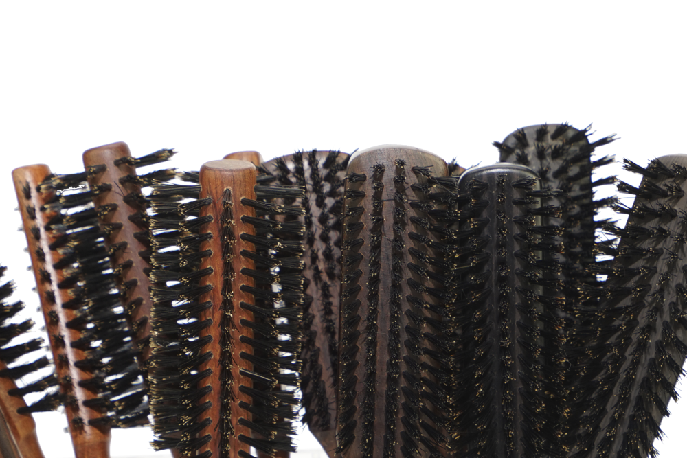 Display equipped with 12 hairbrushes, pure boar bristles